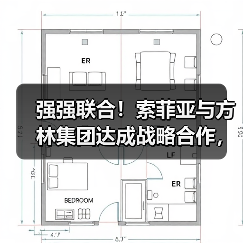 强强联合！索菲亚与方林集团达成战略合作，共绘家居装修新蓝图（图4）