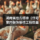 湖南省地方标准《住宅室内装饰装修工程质量验收规范》宣贯会在长沙举行（图3）