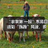 “家装第 一股”东易日盛陷“跑路”风波，多地工程被曝停工（图4）