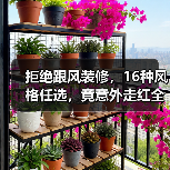 拒绝跟风装修，16种风格任选，竟意外走红全网！（图4）