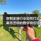 定制家居行业如何打造高效透明的数字供应链？（图3）