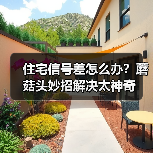 住宅信号差怎么办？蘑菇头妙招解决太神奇（图4）