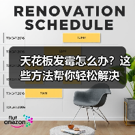 天花板发霉怎么办？这些方法帮你轻松解决（图2）