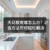 天花板发霉怎么办？这些方法帮你轻松解决（图3）