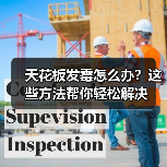 天花板发霉怎么办？这些方法帮你轻松解决（图4）