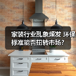 家装行业乱象频发 环保标准能否扭转市场？（图4）
