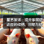星艺装饰:提升家居舒适度的收纳、照明与软装搭配方法(图3) 星艺装饰:提升家居舒适度的收纳、照明与软装搭配方法(图3)