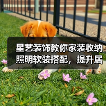 星艺装饰教你家装收纳照明软装搭配,提升居住舒适度(图4) 星艺装饰教你家装收纳照明软装搭配,提升居住舒适度(图4)