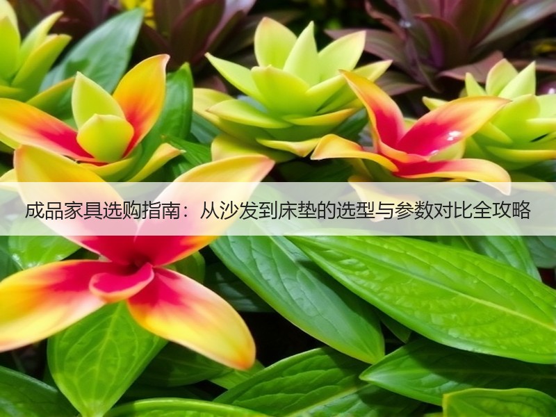 成品家具选购指南：从沙发到床垫的选型与参数对比全攻略