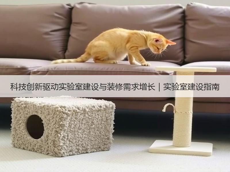 科技创新驱动实验室建设与装修需求增长｜实验室建设指南